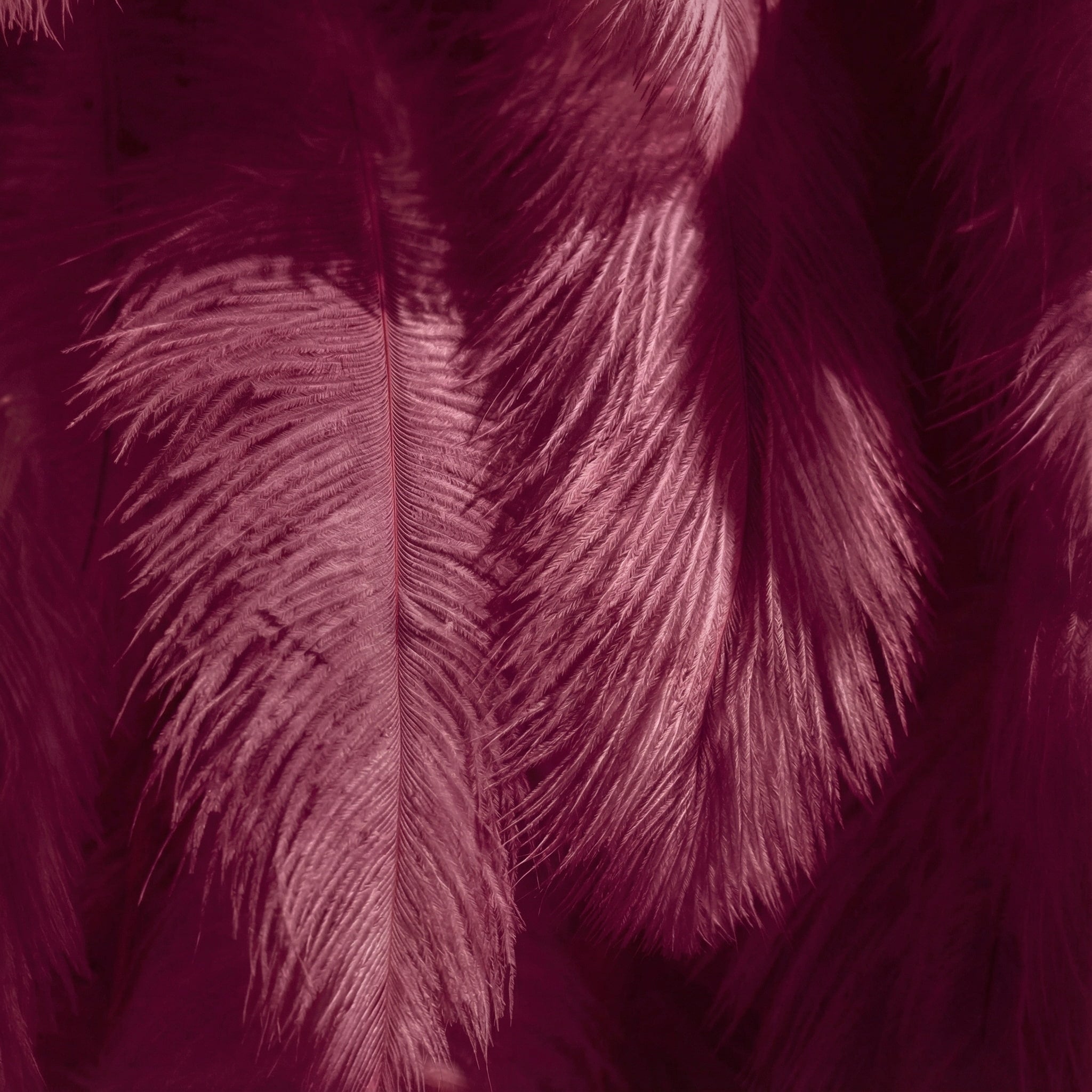 ValarFlowers Burgundy Artificial Feather Backdrop: Luxe Plume Display with 7+ Color Options & Custom Services. DIY Photo Booth Decoration-VF-164-Burgundy