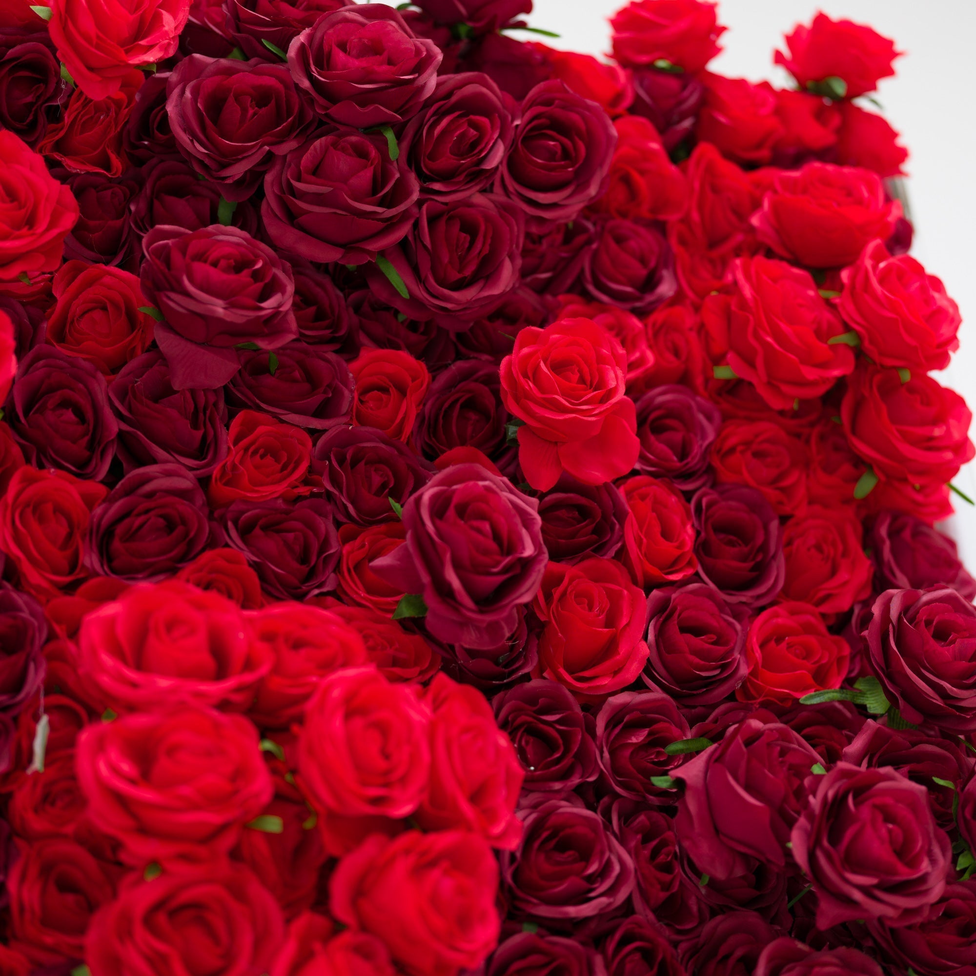 Valar Flowers Roll Up Fabric Artificial Flower Wall Crimson Coronation: A Regal Array of Red Roses Radiating Romance and Reverence-VF-172