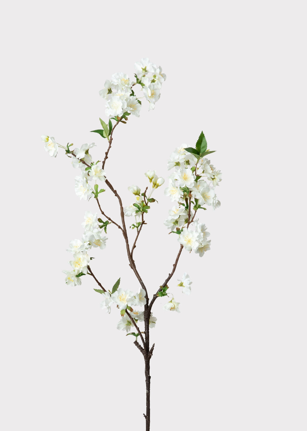 Cream White Artificial Cherry Blossom Branch - 36
