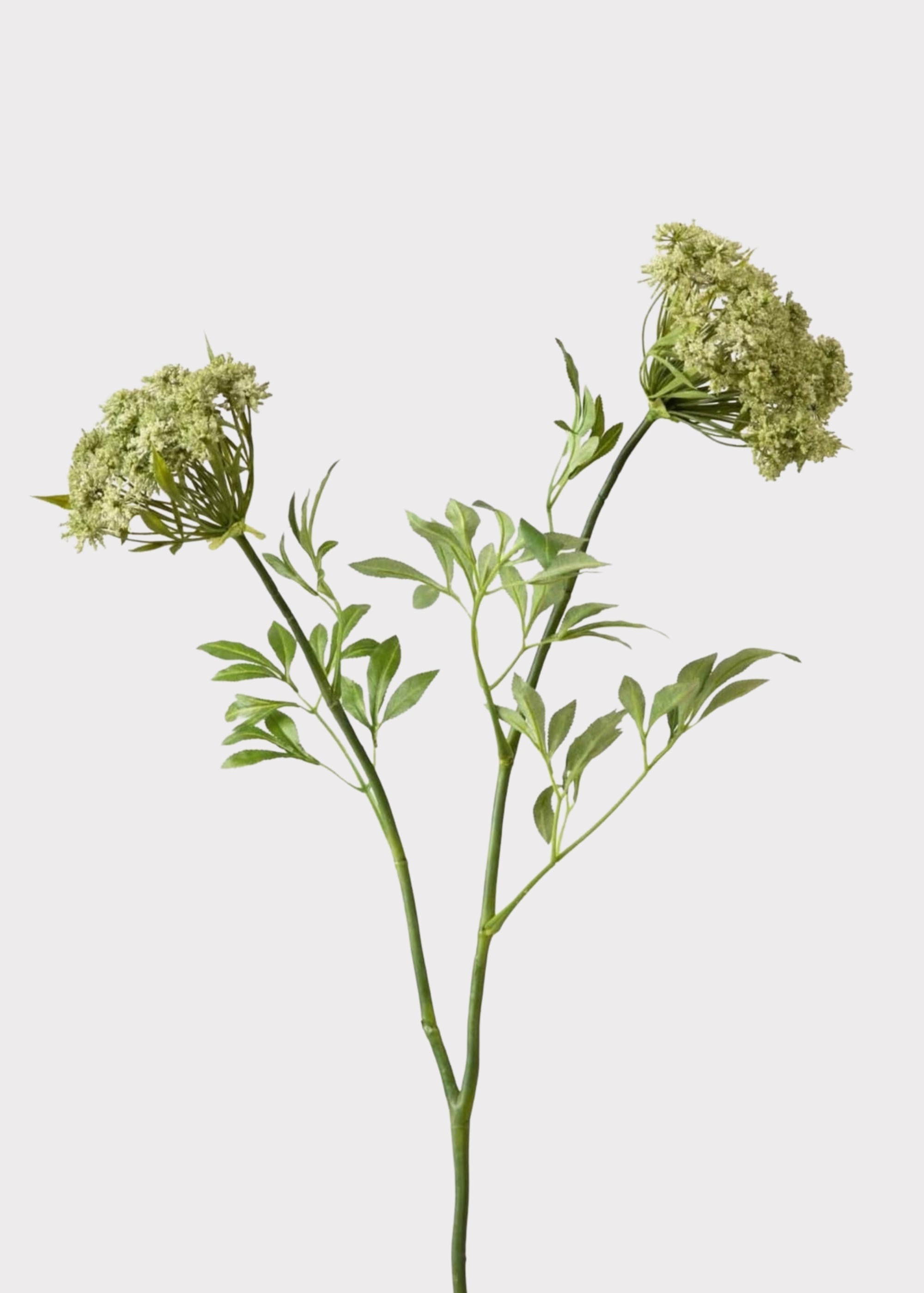 Faux Queen Anne's Lace Wildflowers - 36