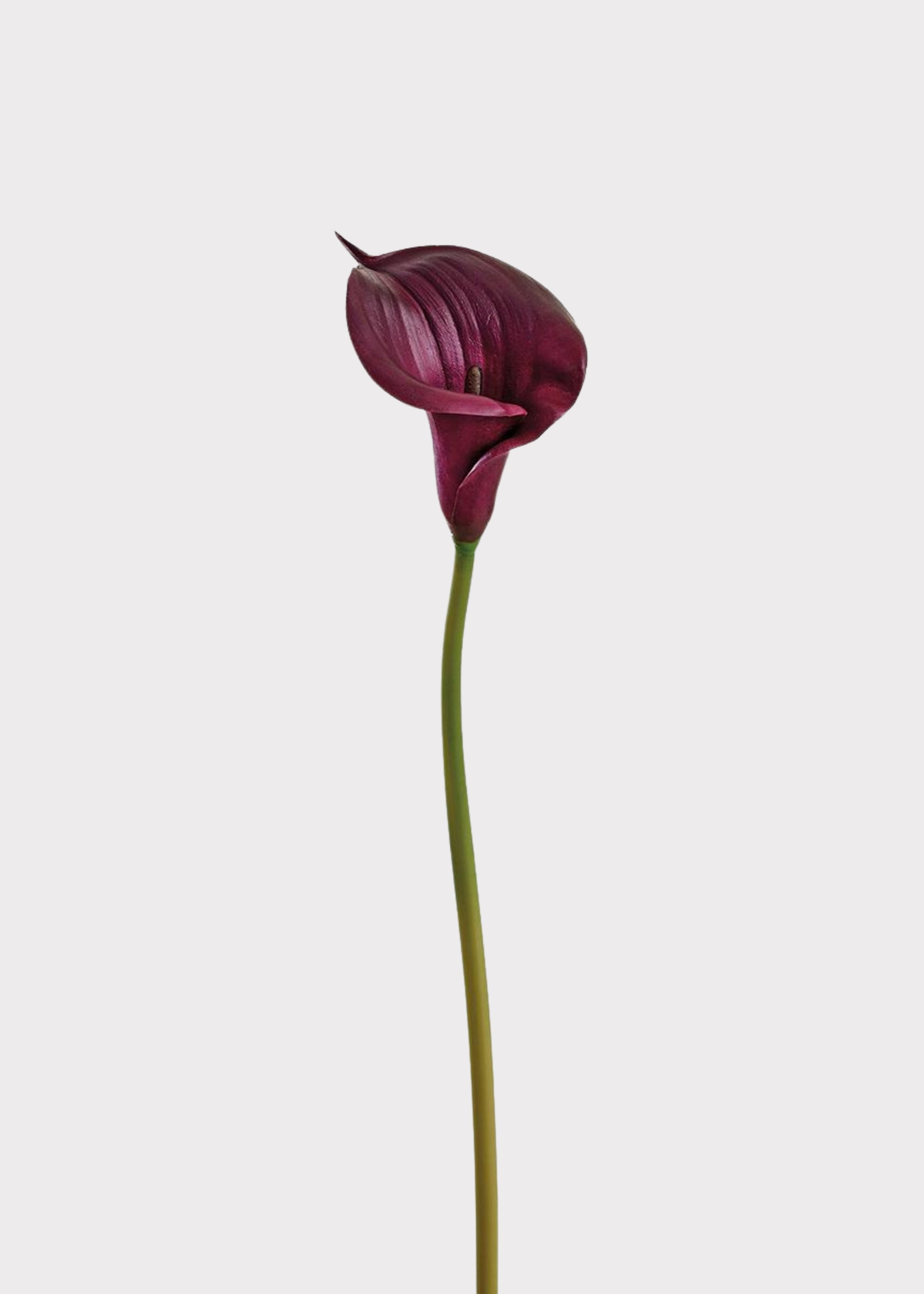 Plum Purple Artificial Calla Lily Real Touch Flower - 33