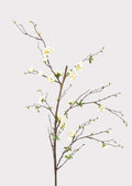 Premium Artificial Flowers  - Cream Artificial Blossom Branch - 57