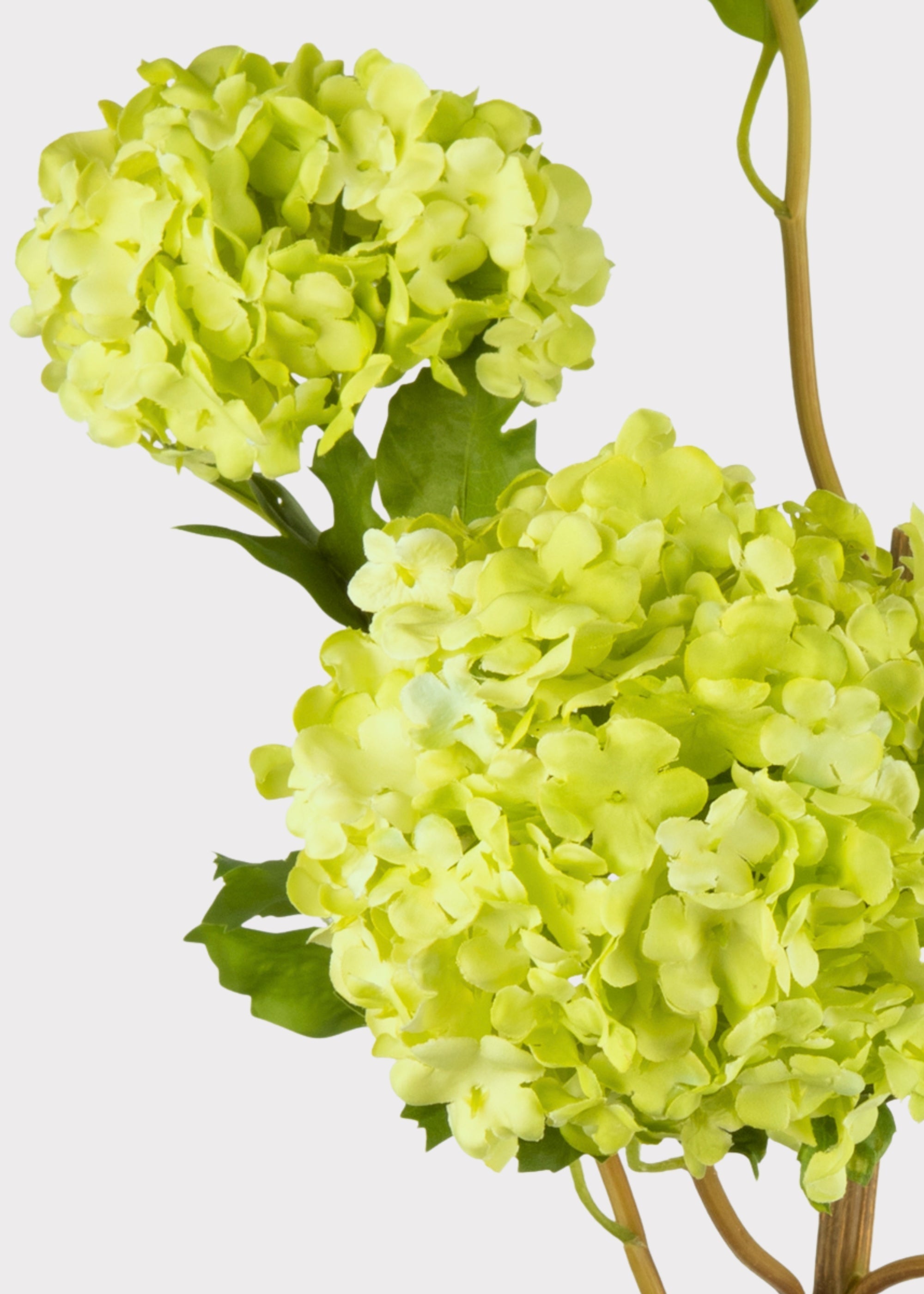 Faux Flowers Snowball Flower Stem in Green - 43.5