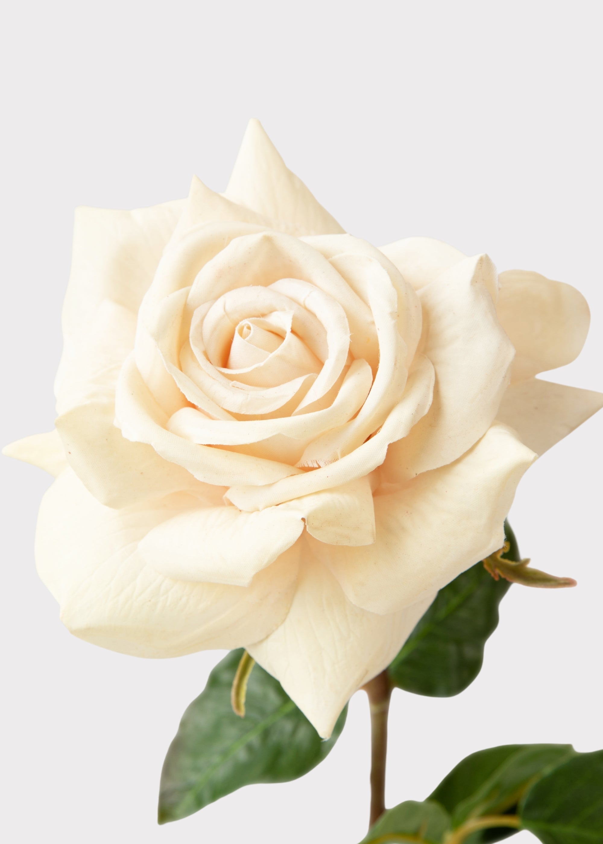 Beige Real Touch Duchess Rose Fake Flower - 20