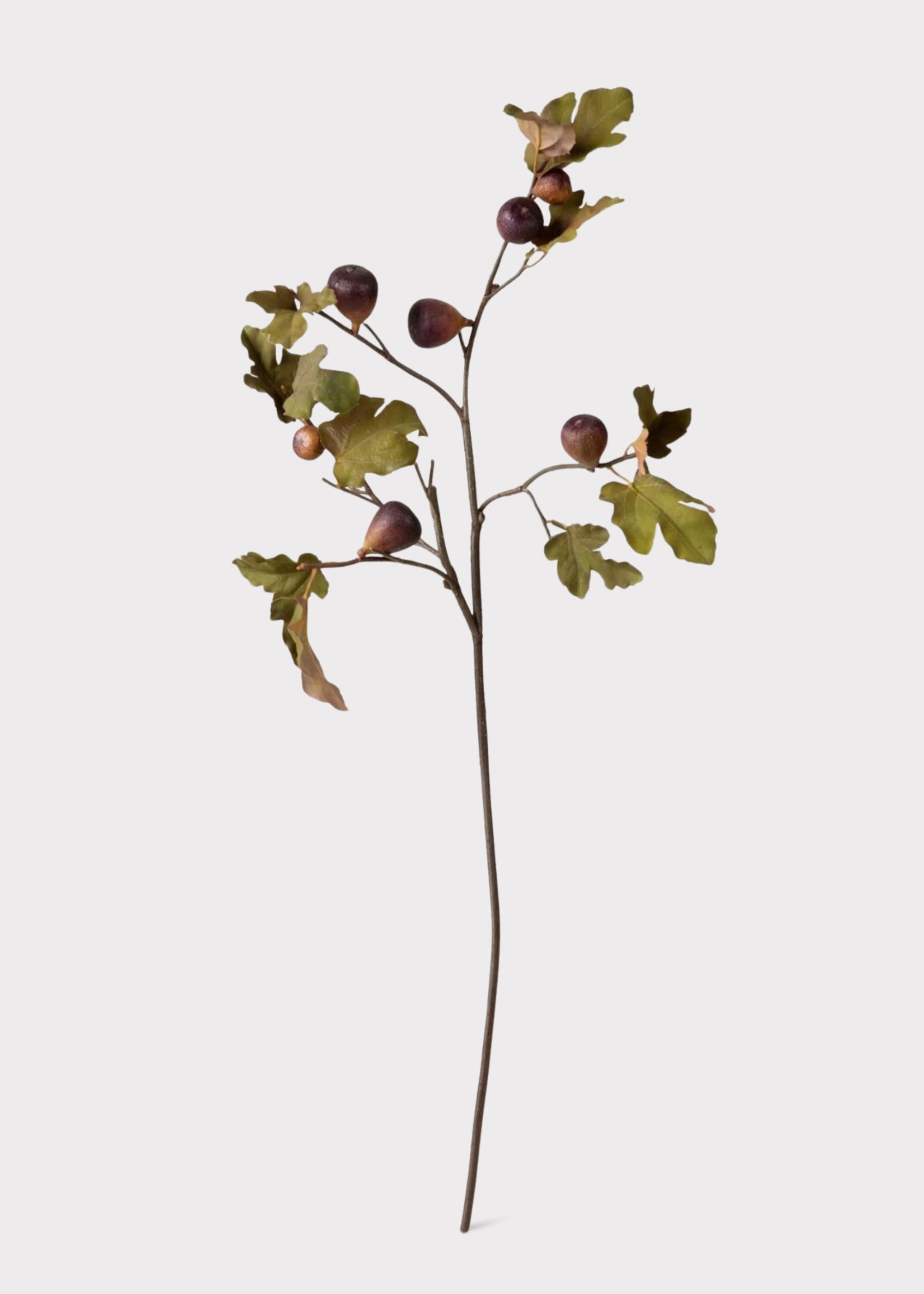 Premium Faux Fig Branch in Eggplant - 37
